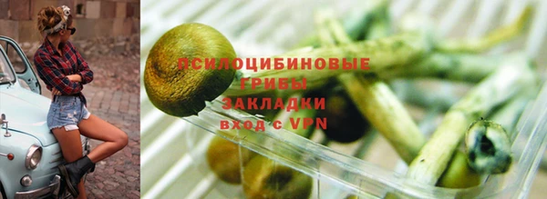 mix Белокуриха