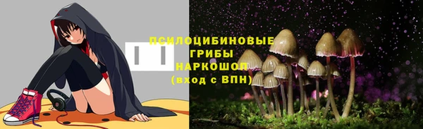 mix Белокуриха
