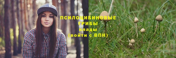 mix Белокуриха