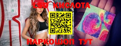 спиды Берёзовский
