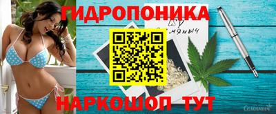 альфа пвп Бийск