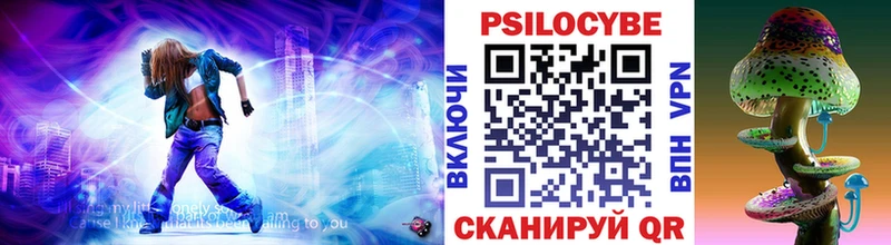 omg зеркало  купить наркотик  Гудермес  Галлюциногенные грибы Magic Shrooms 