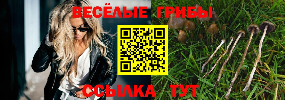 Псилоцибиновые грибы Psilocybe  Вход с VPN  Гудермес 