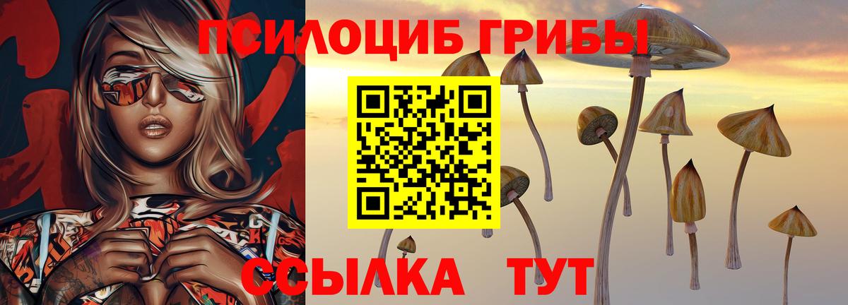 Галлюциногенные грибы прущие грибы Гудермес